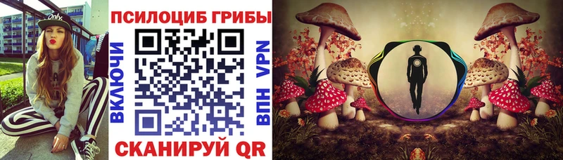 Галлюциногенные грибы прущие грибы  Дигора 