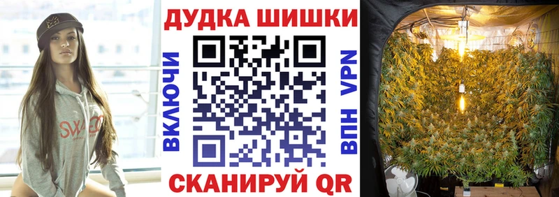 как найти   Дигора  Бошки марихуана тримм 
